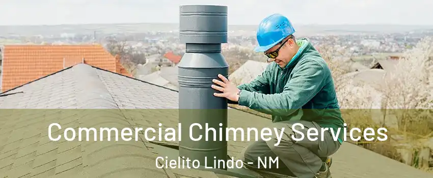 Commercial Chimney Services Cielito Lindo - NM