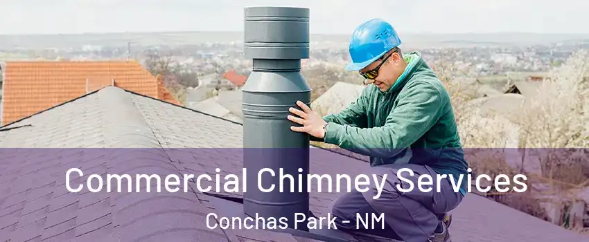 Commercial Chimney Services Conchas Park - NM