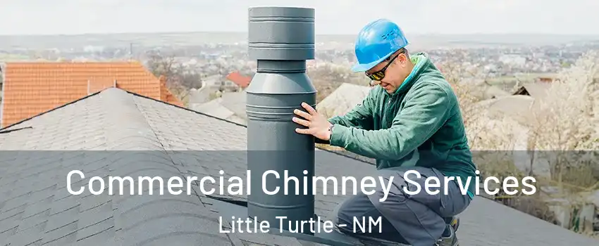 Commercial Chimney Services Little Turtle - NM
