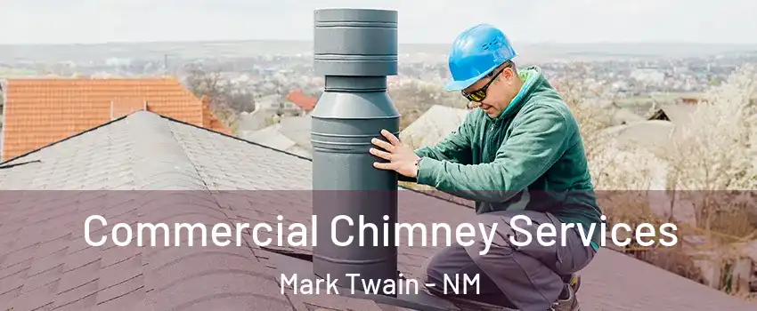 Commercial Chimney Services Mark Twain - NM