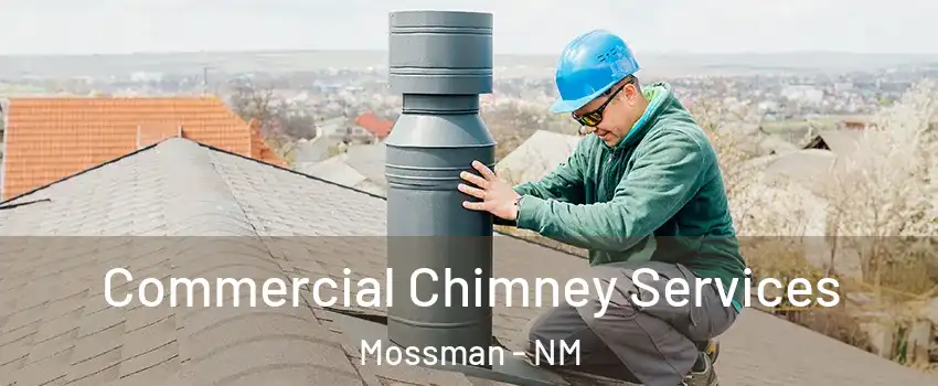 Commercial Chimney Services Mossman - NM