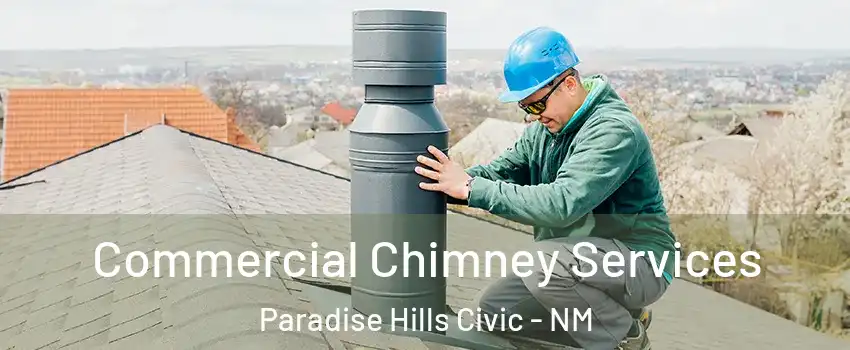 Commercial Chimney Services Paradise Hills Civic - NM