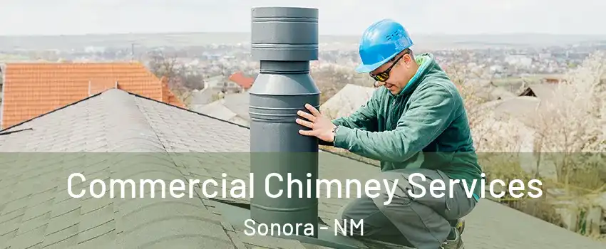 Commercial Chimney Services Sonora - NM
