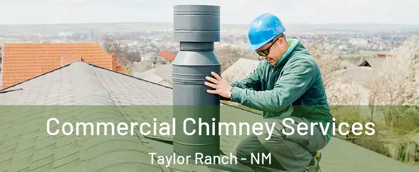 Commercial Chimney Services Taylor Ranch - NM