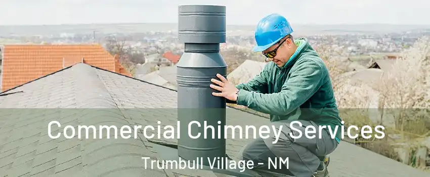 Commercial Chimney Services Trumbull Village - NM