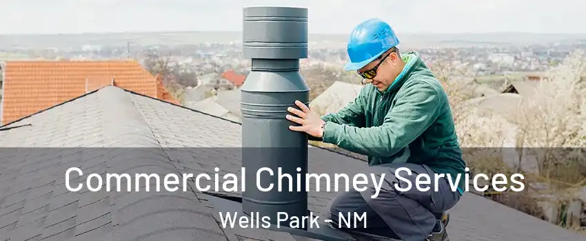 Commercial Chimney Services Wells Park - NM