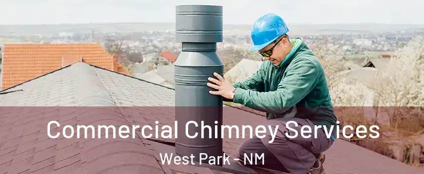 Commercial Chimney Services West Park - NM
