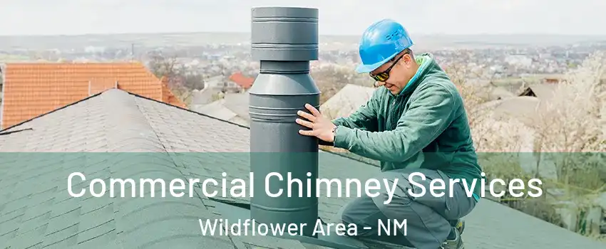 Commercial Chimney Services Wildflower Area - NM