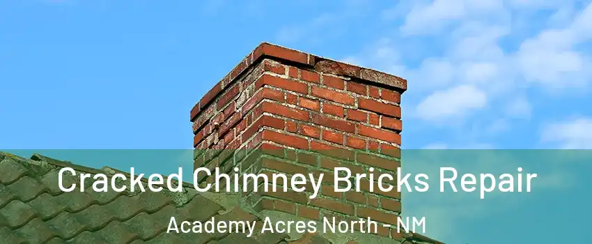 Cracked Chimney Bricks Repair Academy Acres North - NM
