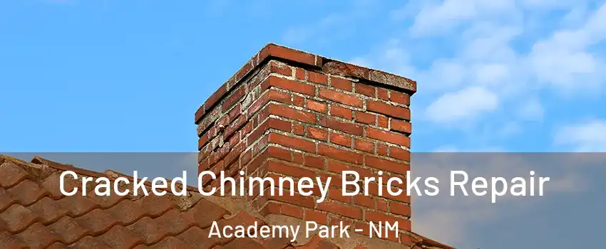Cracked Chimney Bricks Repair Academy Park - NM