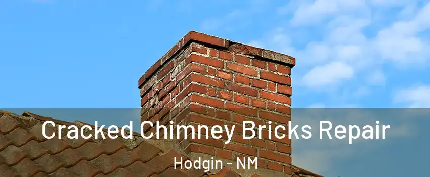 Cracked Chimney Bricks Repair Hodgin - NM