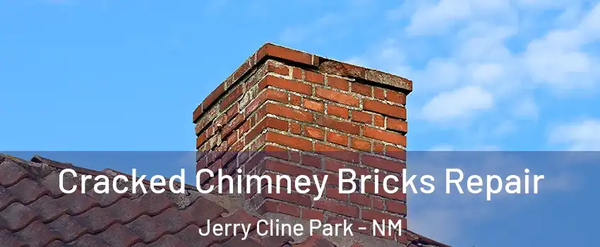 Cracked Chimney Bricks Repair Jerry Cline Park - NM