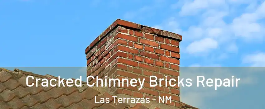 Cracked Chimney Bricks Repair Las Terrazas - NM