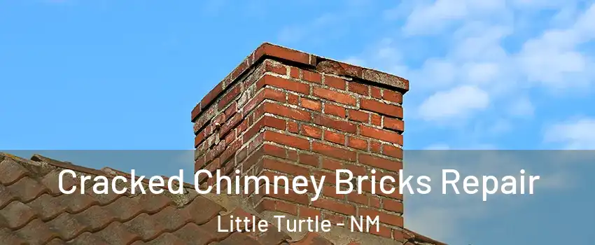 Cracked Chimney Bricks Repair Little Turtle - NM