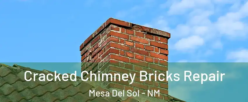 Cracked Chimney Bricks Repair Mesa Del Sol - NM