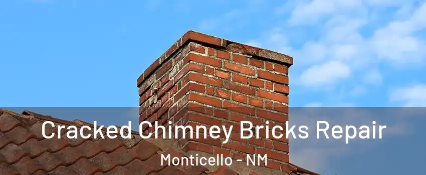 Cracked Chimney Bricks Repair Monticello - NM