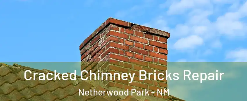 Cracked Chimney Bricks Repair Netherwood Park - NM