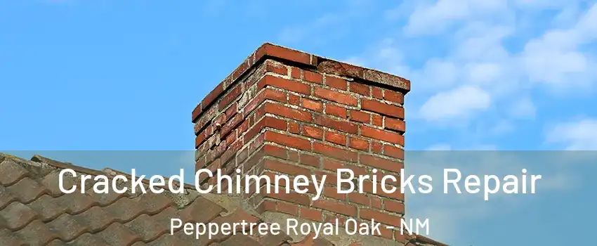 Cracked Chimney Bricks Repair Peppertree Royal Oak - NM