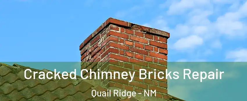 Cracked Chimney Bricks Repair Quail Ridge - NM