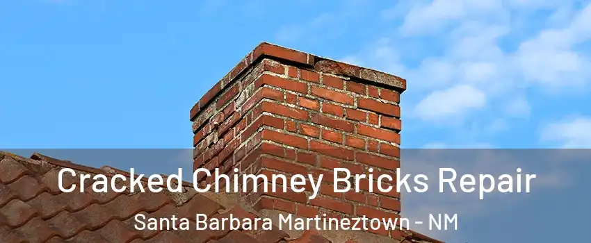 Cracked Chimney Bricks Repair Santa Barbara Martineztown - NM