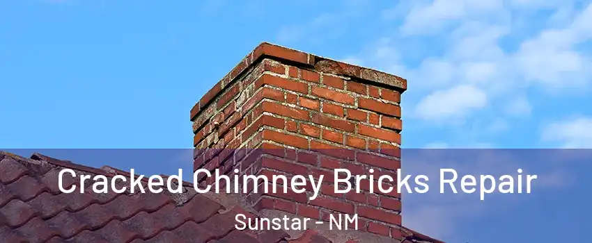 Cracked Chimney Bricks Repair Sunstar - NM