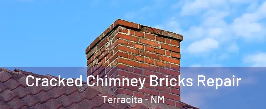 Cracked Chimney Bricks Repair Terracita - NM