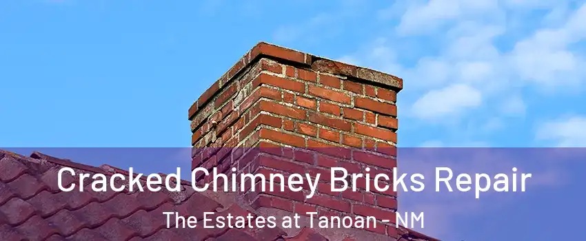Cracked Chimney Bricks Repair The Estates at Tanoan - NM