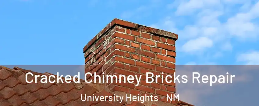Cracked Chimney Bricks Repair University Heights - NM