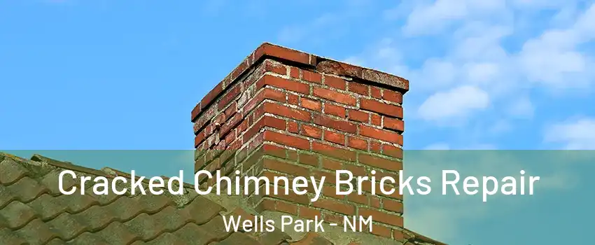 Cracked Chimney Bricks Repair Wells Park - NM