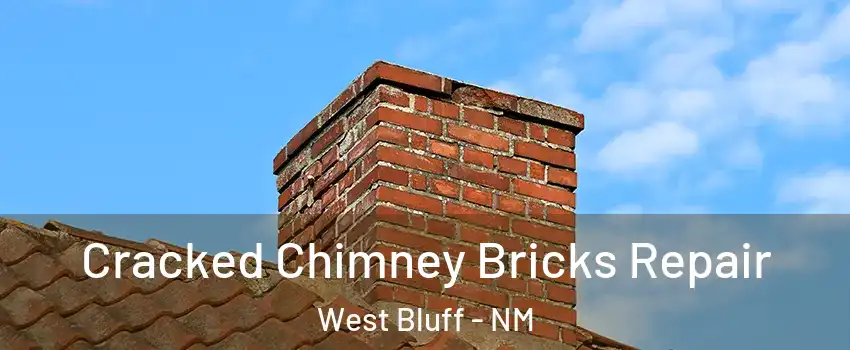Cracked Chimney Bricks Repair West Bluff - NM