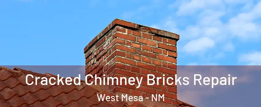 Cracked Chimney Bricks Repair West Mesa - NM