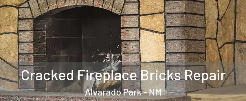 Cracked Fireplace Bricks Repair Alvarado Park - NM