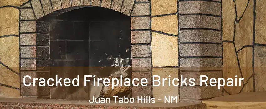 Cracked Fireplace Bricks Repair Juan Tabo Hills - NM