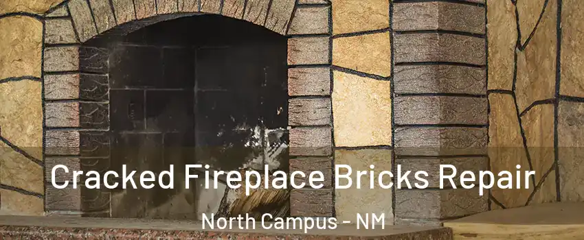 Cracked Fireplace Bricks Repair North Campus - NM