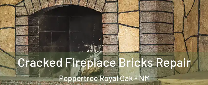 Cracked Fireplace Bricks Repair Peppertree Royal Oak - NM