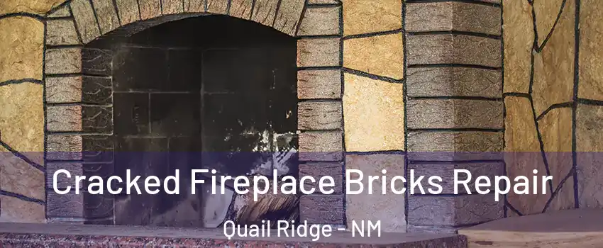 Cracked Fireplace Bricks Repair Quail Ridge - NM
