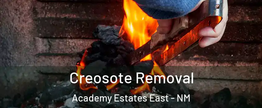 Creosote Removal Academy Estates East - NM