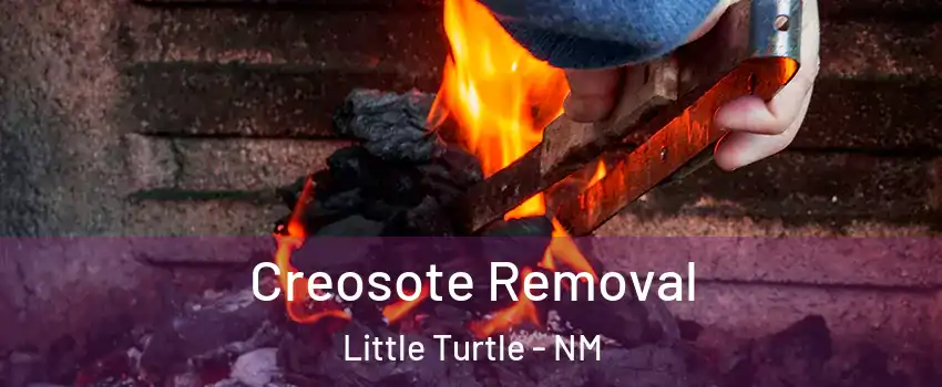 Creosote Removal Little Turtle - NM