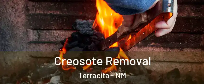 Creosote Removal Terracita - NM