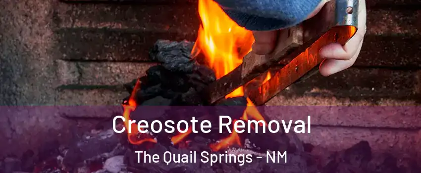 Creosote Removal The Quail Springs - NM