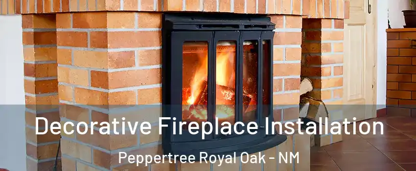 Decorative Fireplace Installation Peppertree Royal Oak - NM