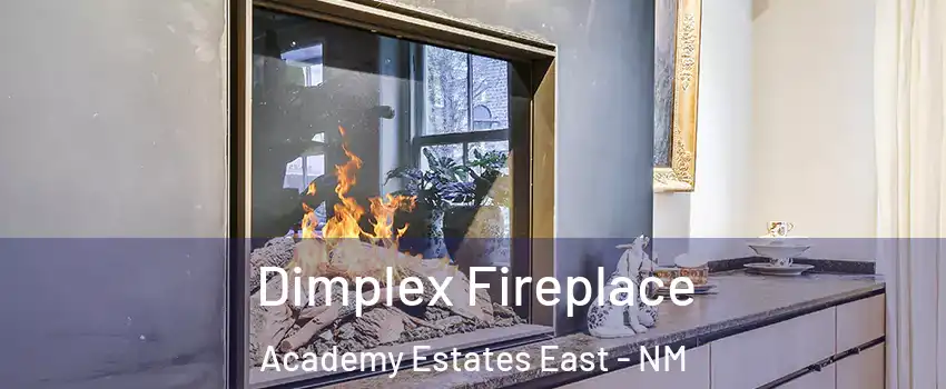 Dimplex Fireplace Academy Estates East - NM