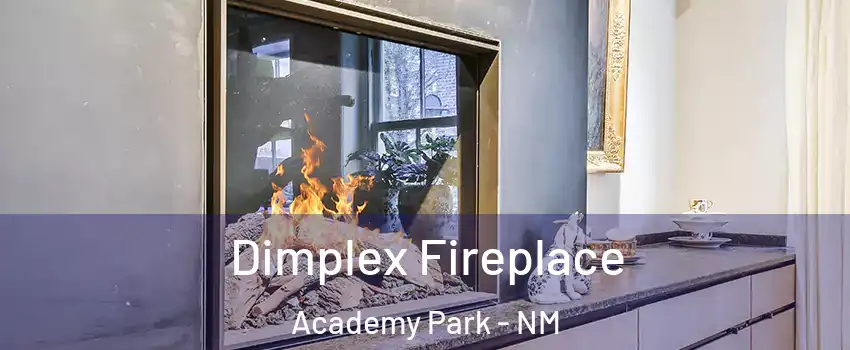 Dimplex Fireplace Academy Park - NM