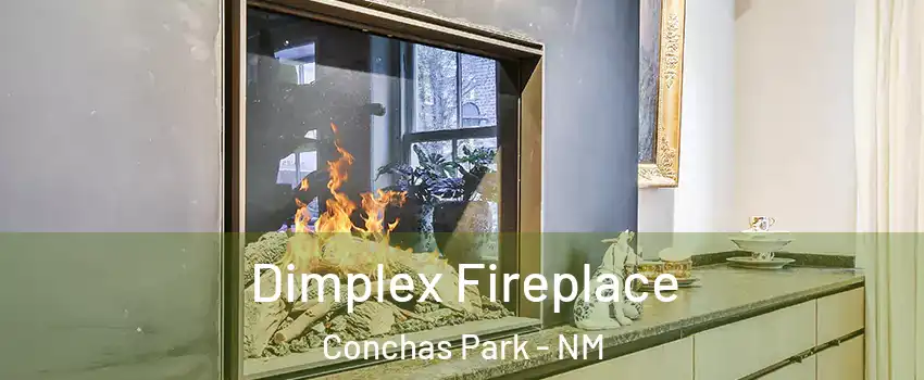 Dimplex Fireplace Conchas Park - NM