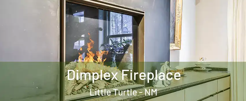 Dimplex Fireplace Little Turtle - NM