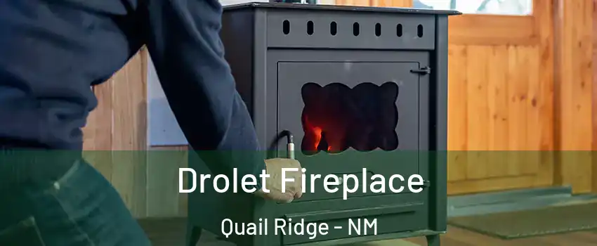 Drolet Fireplace Quail Ridge - NM