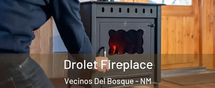 Drolet Fireplace Vecinos Del Bosque - NM