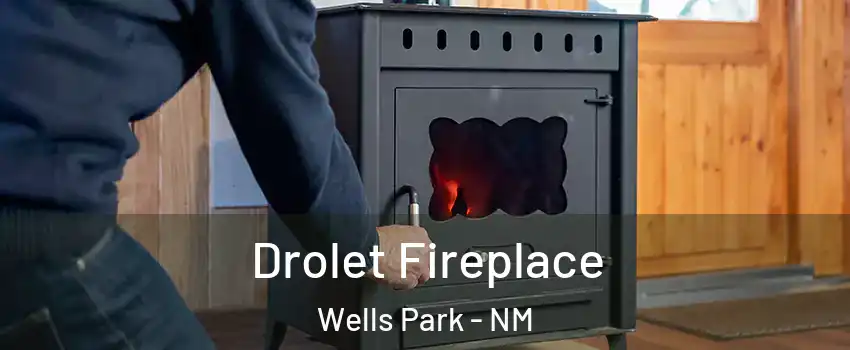 Drolet Fireplace Wells Park - NM