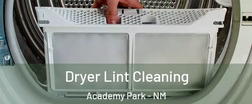 Dryer Lint Cleaning Academy Park - NM