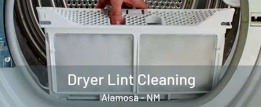 Dryer Lint Cleaning Alamosa - NM